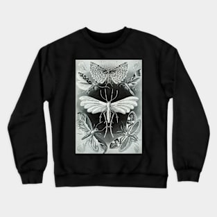 Moth Vintage Botanical Illustration Crewneck Sweatshirt